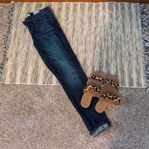 Banana Republic Dark Rinse Skinny Jean Size 27P